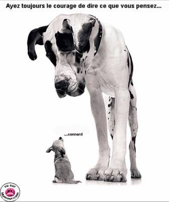 le courage